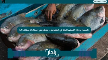 «أسعار نارية»  للبلطي اليوم في القليوبية.. تعرف على أسعار الأسماك الآن